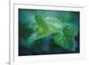 chlorophill-Viviane Fedieu Danielle-Framed Photographic Print