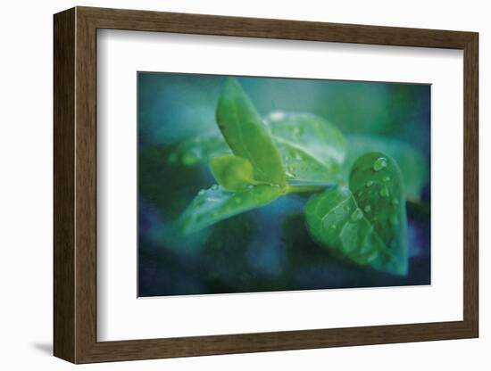 chlorophill-Viviane Fedieu Danielle-Framed Photographic Print