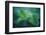 chlorophill-Viviane Fedieu Danielle-Framed Photographic Print