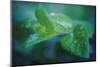 chlorophill-Viviane Fedieu Danielle-Mounted Photographic Print