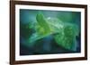 chlorophill-Viviane Fedieu Danielle-Framed Photographic Print