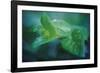 chlorophill-Viviane Fedieu Danielle-Framed Photographic Print