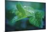 chlorophill-Viviane Fedieu Danielle-Mounted Photographic Print