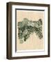 Chlorophyll I-Vanna Lam-Framed Art Print