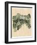 Chlorophyll I-Vanna Lam-Framed Art Print