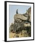 Chobe River, Botswana, Africa. A Cape Buffalo endures the presence of a Red-billed Oxpecker.-Karen Ann Sullivan-Framed Photographic Print