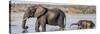 Chobe River, Botswana, Africa. African Elephant mother and calf cross the Chobe River.-Karen Ann Sullivan-Stretched Canvas