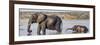 Chobe River, Botswana, Africa. African Elephant mother and calf cross the Chobe River.-Karen Ann Sullivan-Framed Photographic Print