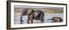 Chobe River, Botswana, Africa. African Elephant mother and calf cross the Chobe River.-Karen Ann Sullivan-Framed Photographic Print