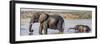 Chobe River, Botswana, Africa. African Elephant mother and calf cross the Chobe River.-Karen Ann Sullivan-Framed Photographic Print