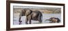 Chobe River, Botswana, Africa. African Elephant mother and calf cross the Chobe River.-Karen Ann Sullivan-Framed Photographic Print