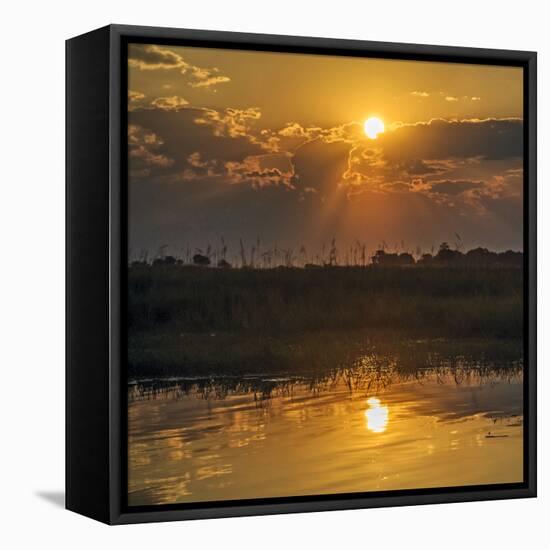 Chobe River, Botswana, Africa. Sunset on the Chobe River.-Karen Ann Sullivan-Framed Stretched Canvas