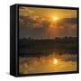 Chobe River, Botswana, Africa. Sunset on the Chobe River.-Karen Ann Sullivan-Framed Stretched Canvas