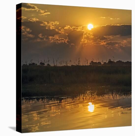 Chobe River, Botswana, Africa. Sunset on the Chobe River.-Karen Ann Sullivan-Stretched Canvas
