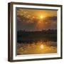 Chobe River, Botswana, Africa. Sunset on the Chobe River.-Karen Ann Sullivan-Framed Photographic Print