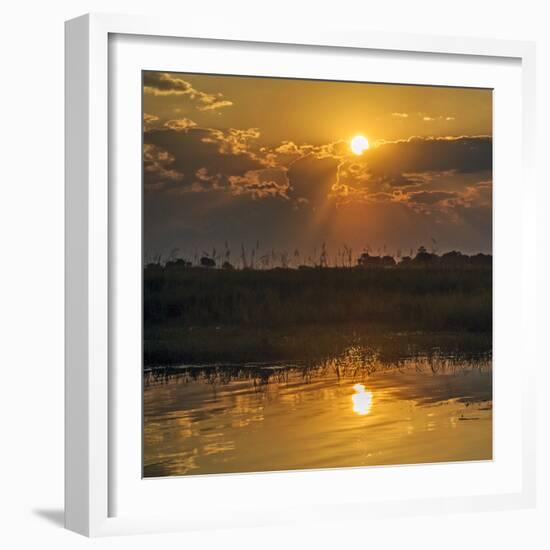 Chobe River, Botswana, Africa. Sunset on the Chobe River.-Karen Ann Sullivan-Framed Photographic Print