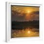 Chobe River, Botswana, Africa. Sunset on the Chobe River.-Karen Ann Sullivan-Framed Photographic Print