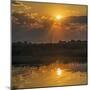 Chobe River, Botswana, Africa. Sunset on the Chobe River.-Karen Ann Sullivan-Mounted Photographic Print