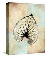 Choc Spice Skel Leaf II-Catherine Kohnke-Stretched Canvas