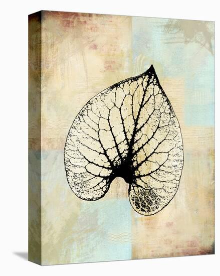 Choc Spice Skel Leaf II-Catherine Kohnke-Stretched Canvas