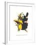 Choco Toucan-John Gould-Framed Art Print