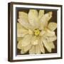 Chocolate And Cream I-Citrine-Framed Giclee Print