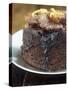 Chocolate and Orange Sponge Pudding-null-Stretched Canvas