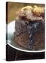 Chocolate and Orange Sponge Pudding-null-Stretched Canvas