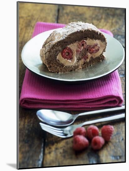 Chocolate and Raspberry Roulade-null-Mounted Photographic Print