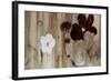 Chocolate and Silver-Sloane Addison  -Framed Art Print