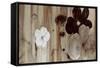 Chocolate and Silver-Sloane Addison  -Framed Stretched Canvas