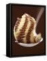 Chocolate and Vanilla Ice Cream on a Spoon-Marc O^ Finley-Framed Stretched Canvas