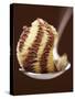 Chocolate and Vanilla Ice Cream on a Spoon-Marc O^ Finley-Stretched Canvas