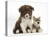 Chocolate Border Collie Pup and Wolf Soft Toy-Mark Taylor-Stretched Canvas