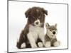 Chocolate Border Collie Pup and Wolf Soft Toy-Mark Taylor-Mounted Photographic Print