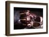 Chocolate Brownie Cookies with Peanut Butter Filling-Elena Veselova-Framed Photographic Print