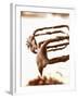 Chocolate Cake Mixture Sticking to Beater-Alain Caste-Framed Photographic Print