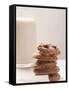 Chocolate Chip Cookies and a Glass of Milk-null-Framed Stretched Canvas