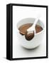 Chocolate Coated Spoon on a Bowl of Melted Chocolate-Silvia Baghi-Framed Stretched Canvas