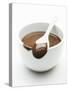 Chocolate Coated Spoon on a Bowl of Melted Chocolate-Silvia Baghi-Stretched Canvas
