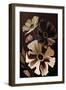 Chocolate Cosmos Flowers-Lea Faucher-Framed Art Print