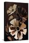 Chocolate Cosmos Flowers-Lea Faucher-Stretched Canvas