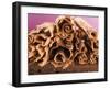 Chocolate Curls on Chocolate Cake-null-Framed Photographic Print