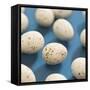 Chocolate Easter eggs-null-Framed Stretched Canvas