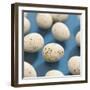 Chocolate Easter eggs-null-Framed Premium Photographic Print