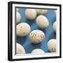 Chocolate Easter eggs-null-Framed Premium Photographic Print