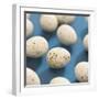 Chocolate Easter eggs-null-Framed Premium Photographic Print