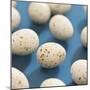 Chocolate Easter eggs-null-Mounted Premium Photographic Print