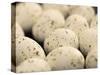 Chocolate Easter eggs-null-Stretched Canvas