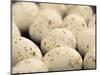 Chocolate Easter eggs-null-Mounted Photographic Print